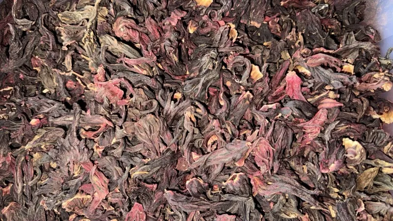Fleurs de bissap rouge séchées (calices d'Hibiscus sabdariffa) de la région de Kaolack