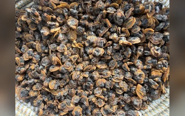 Arche du Sénégal — Pagne en wolof