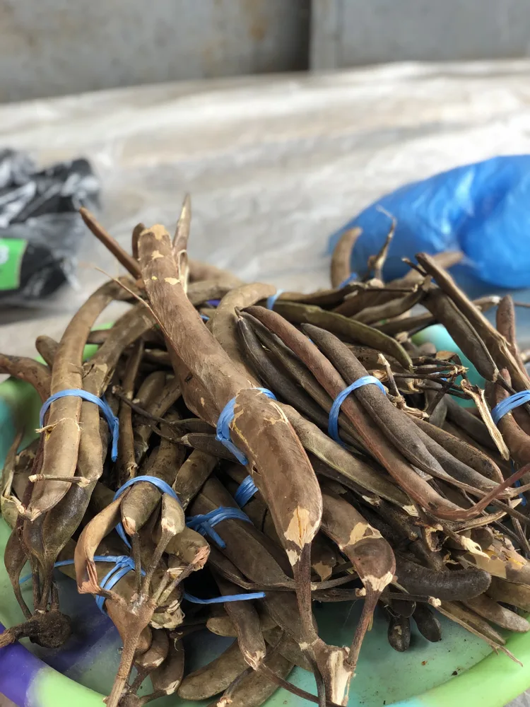 Gousses de néré séchées, attachées en bottes au marché