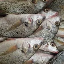 Poisson Sompate — Sompate — Louma by Seggfaye