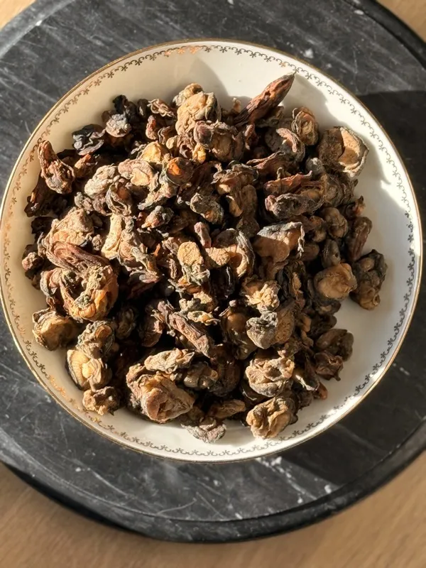 Yoxos